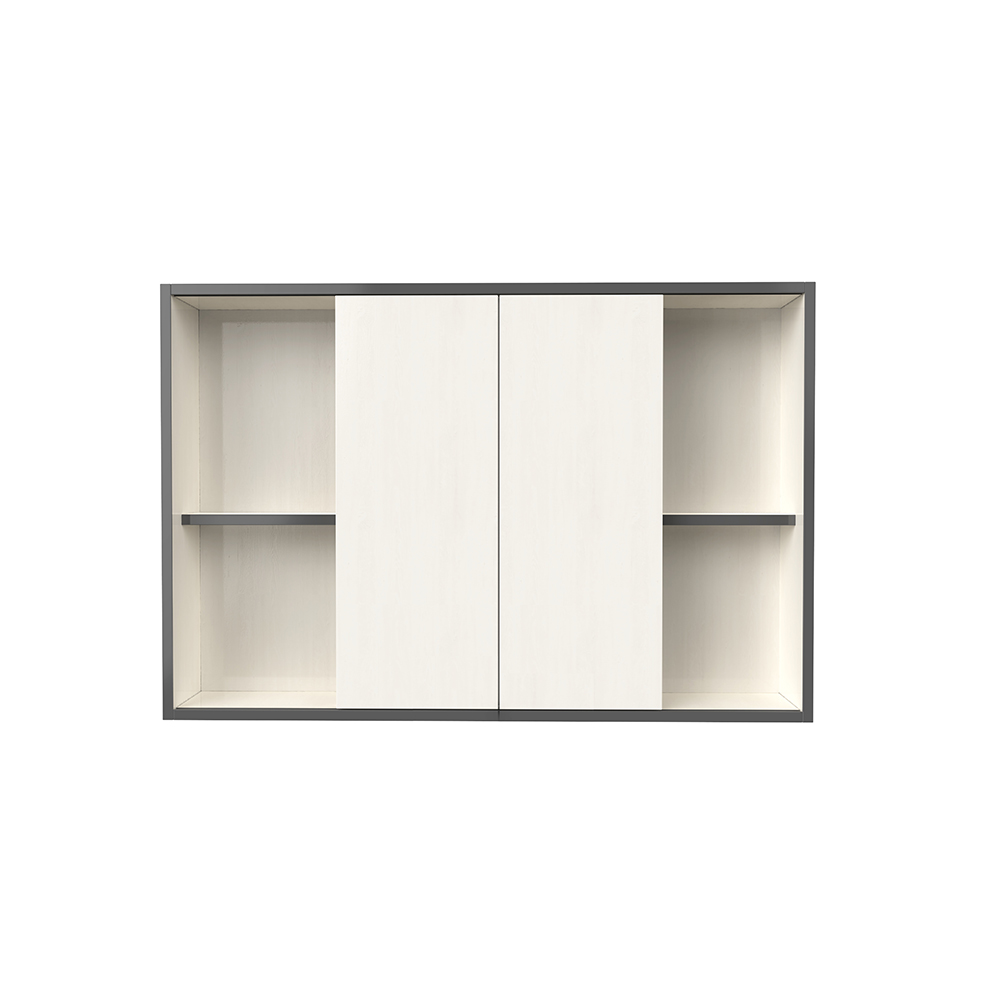 BM1005-100 生態鏡柜